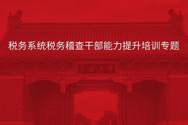 税务系统税务稽查干部能力提升培训专题